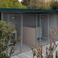 Dog Sitter Tutti Tag e cuccioli