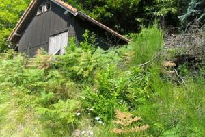 Chalet con annessa legnaia e giardino 3344mq