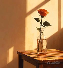 Operaia vitto alloggio