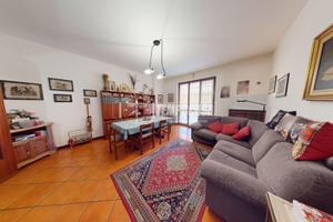 Ampio trilocale con terrazzo, box, cantina e local
