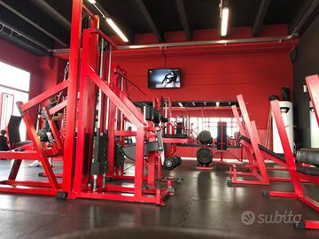 Palestra 