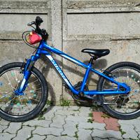 bicicletta 20" specialized