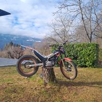 trial montesa 300