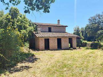Villa singola Amelia [Cod. rif 3318903VRG]