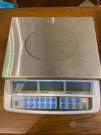 Bilancia Professionale