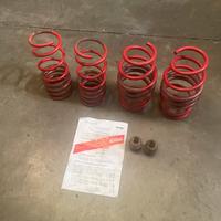 Molle assetto abarth 500 595 eibach sportline