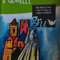 Duelli, castelli e gemelli (GIUNTI Junior)