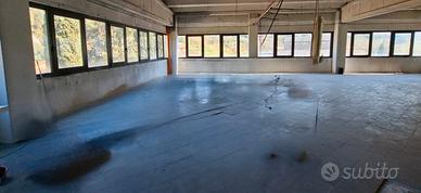 Locale commerciale/laboratorio