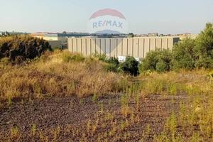 Terreno Edificabile - Belpasso