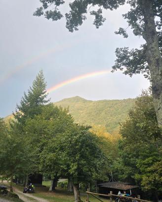 Campeggio in Val trebbia