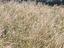 Immagine 13