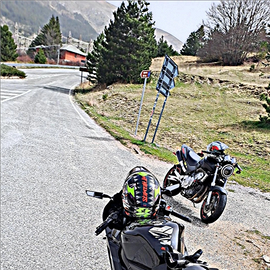 Permuto con z1000 più differenza