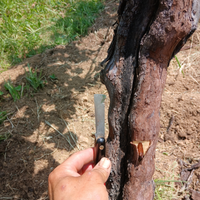 Operaio agricolo ,aiuto giardiniere
