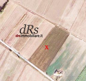 Pisticci marina. Terreno agricolo