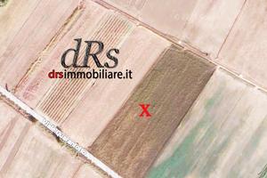 Pisticci marina. Terreno agricolo