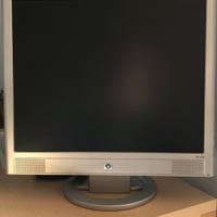 Monitor 19 pollici hp