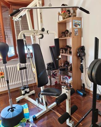 palestra 