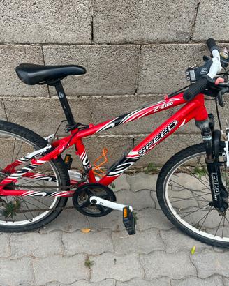 Bicicletta