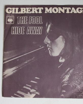 Gilbert MONTAGNE Disque 45T 7 THE FOOL - HIDE AWAY