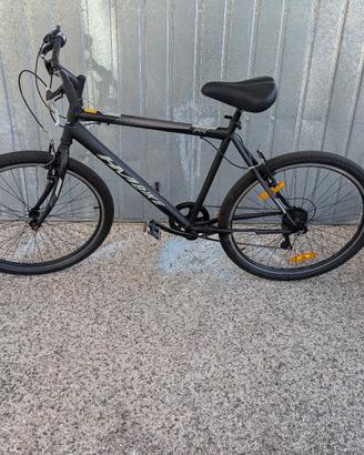 Bici da uomo