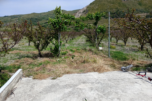 Terreno a Mondragone zona padule