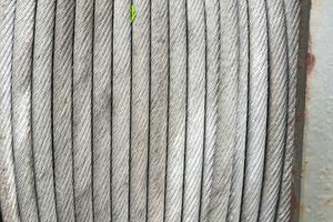 Verricello per merlo