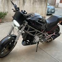Ducati Monster