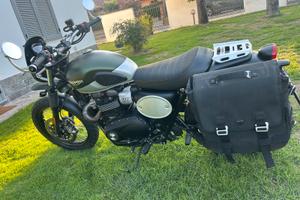 Triumph street scrambler 900