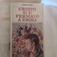 Cristo si è fermato a Eboli di Carlo Levi