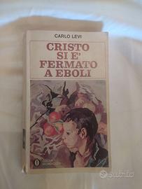 Cristo si è fermato a Eboli di Carlo Levi
