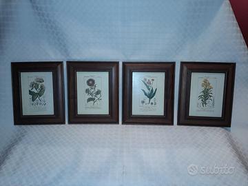 cornici con stampe