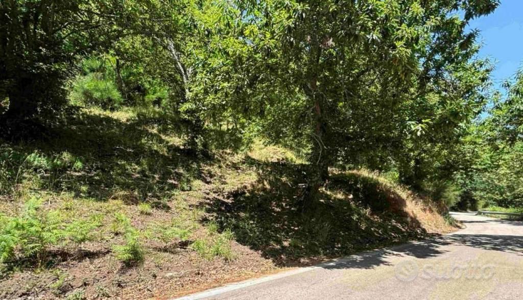 Immobile in asta di 11270 m² a Marzano Appio - Vista 2