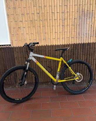 bicicletta