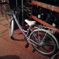 Bici da donna