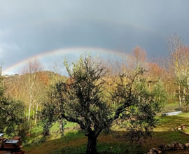 Cubatura su terreno agricolo in tutta Umbria