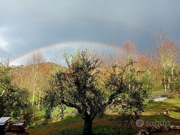 Cubatura su terreno agricolo in tutta Umbria