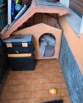 cuccia canie da esterno 