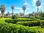 Immagine 30