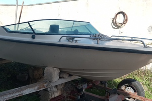 Barca delfino open 4 metri + carrello no omologato