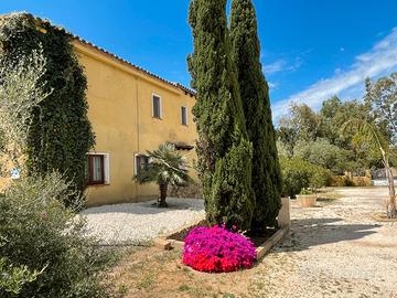 Terreno fronte media world