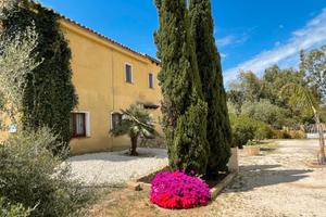 Terreno fronte media world