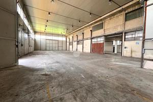 CAPANNONE A MASERÀ DI PADOVA