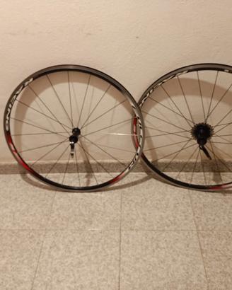 Ruote per bicicletta
