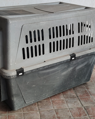 Kennel cani/ trasportino
