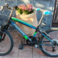 Bicicletta con marce