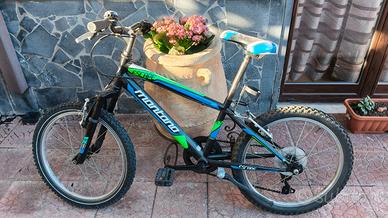 Bicicletta con marce