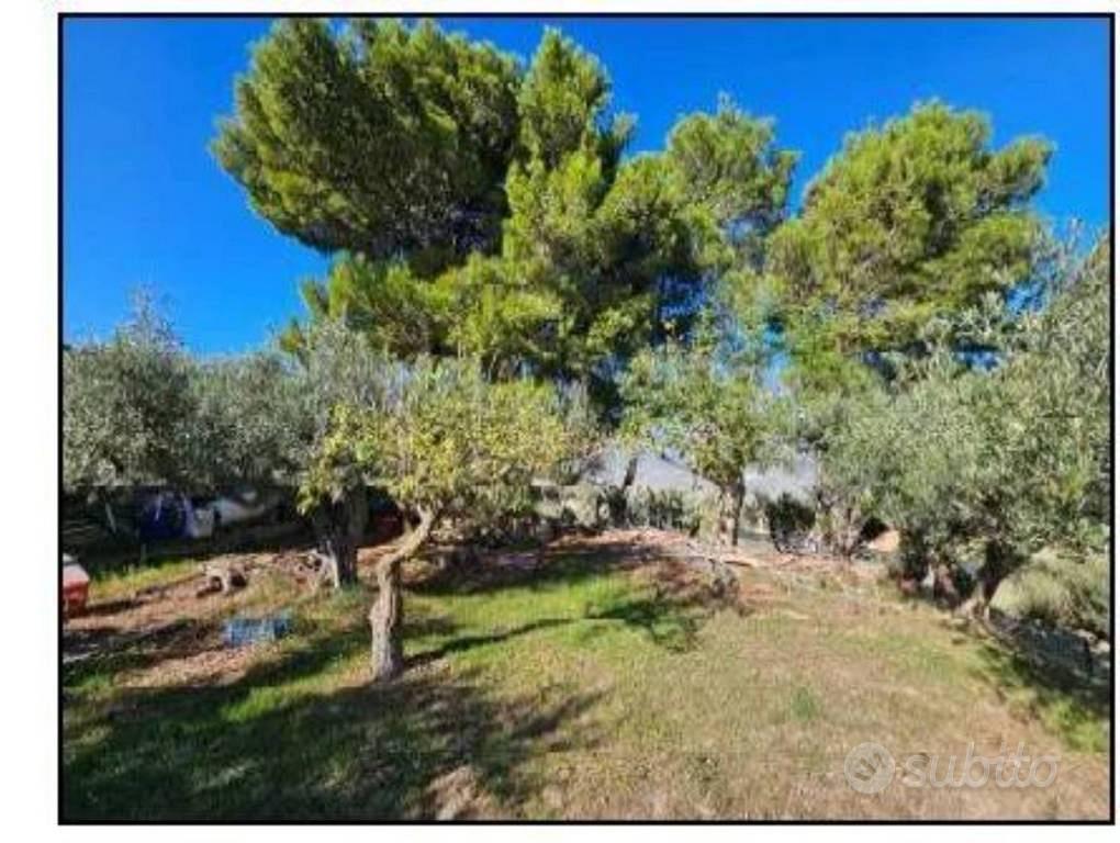 Immobile in asta di 4619 m² a Cerda - Altro