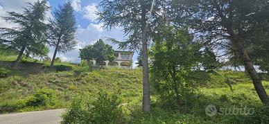 Villa singola Montereale [GRO811VRG]