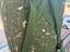 Immagine 5