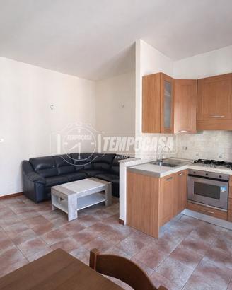 AMPIO BILOCALE LIBERO SUBITO